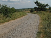 49_parallel_2009-08-07_161