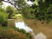 49_parallel_2009-08-07_244