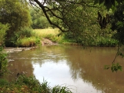 49_parallel_2009-08-07_245