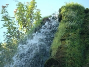 49_parallel_2009-08-07_258