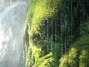 49_parallel_2009-08-07_259