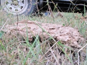 49_parallel_2009-08-07_260