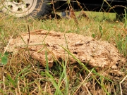 49_parallel_2009-08-07_263