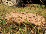 49_parallel_2009-08-07_264