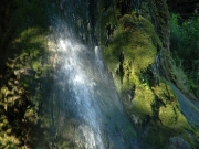 49_parallel_2009-08-07_268