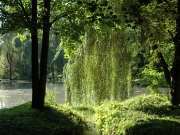 49_parallel_2009-08-07_269