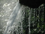 49_parallel_2009-08-07_273