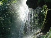 49_parallel_2009-08-07_274