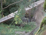 49_parallel_2009-08-07_280