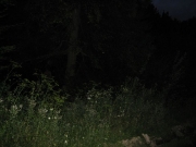 49_parallel_2009-08-07_306