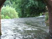 49_parallel_2009-08-08_144