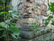 49_parallel_2009-08-08_178