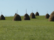 49_parallel_2009-08-09_060