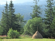 49_parallel_2009-08-09_080
