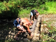 49_parallel_2009-08-10_092