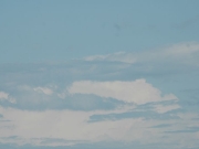 nature_104